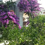 哈撒诺维克公寓式酒店 * Mokošica