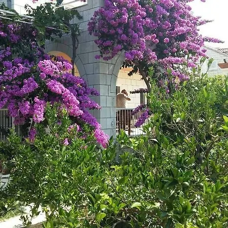 フサノヴィチ * Mokošica