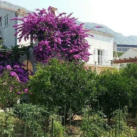 Husanovic Apartment *