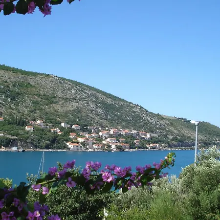 Husanovic