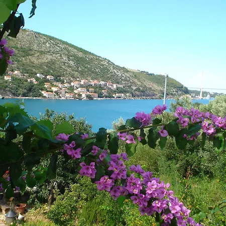 アパート フサノヴィチ Mokošica