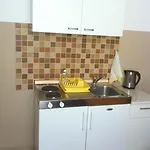 フサノヴィチ *