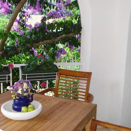 Husanovic Apartman *