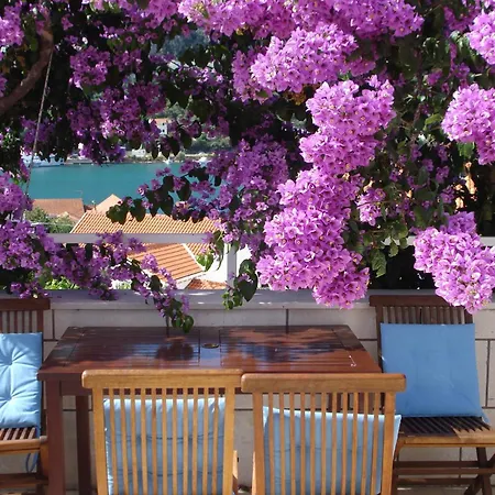 Husanovic Apartamento *