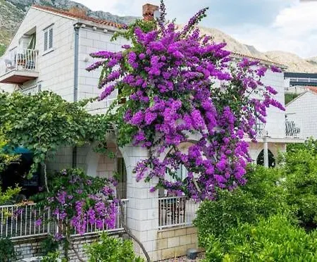 Husanovic