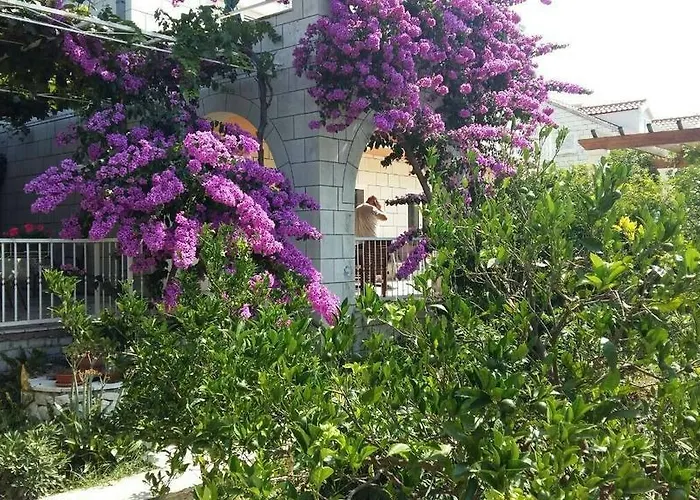 Husanovic * Mokošica