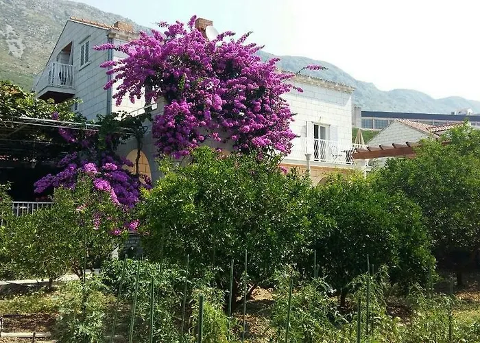 Husanovic Apartamento *